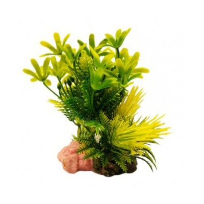 ΔΙΑΚΟΣΜΗΤΙΚΟ ΦΥΤΟ ΕΝΥΔΡΕΙΟΥ 13Χ8CM